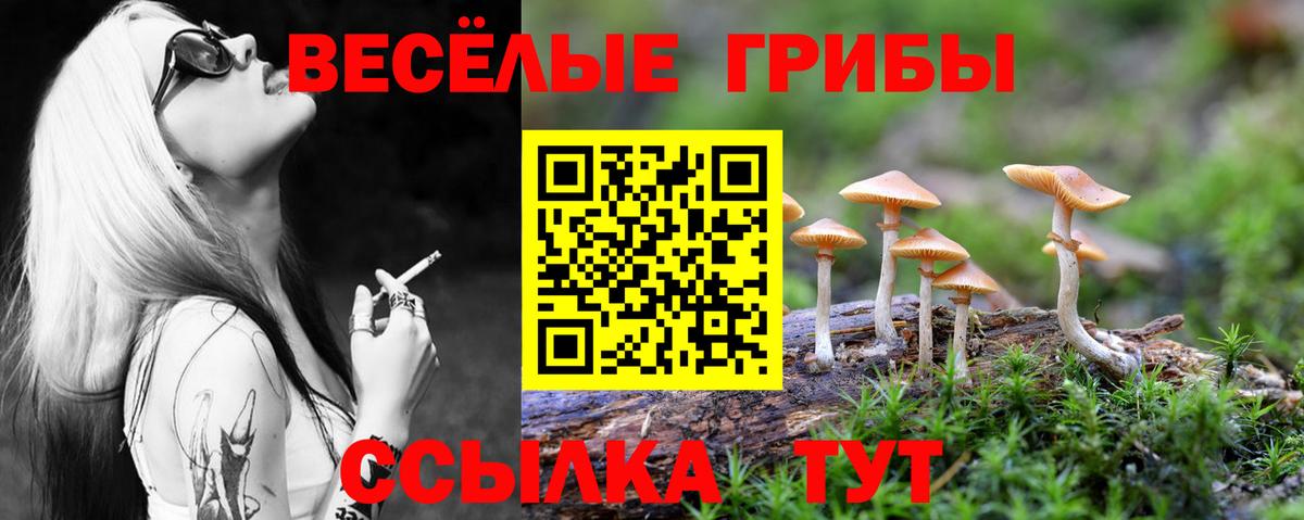 закладка  Вход с VPN  Семилуки  Псилоцибиновые грибы GOLDEN TEACHER 